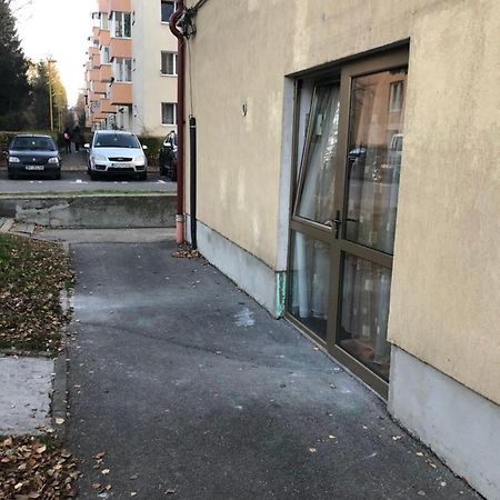 Gaby Studio Braşov Eksteriør bilde